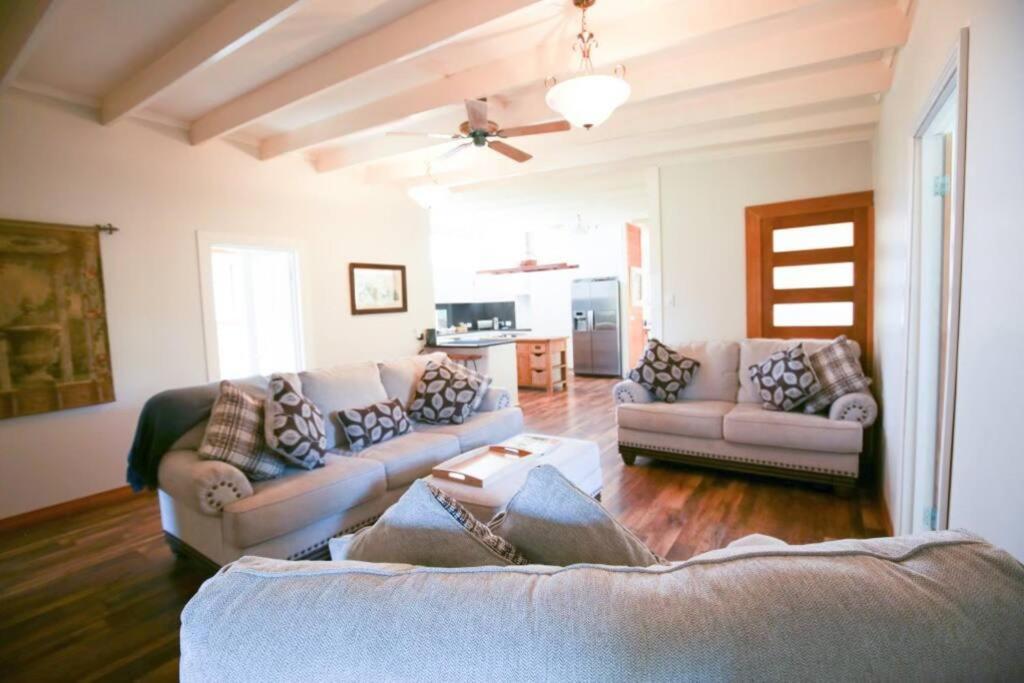 Bridgecroft House - Spacious & Serene Family Home Richmond Dış mekan fotoğraf